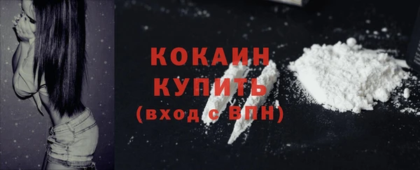 дживик Михайловск