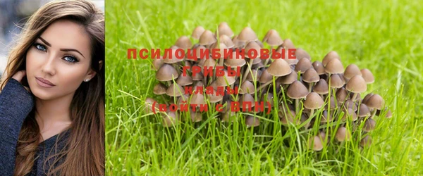дживик Михайловск